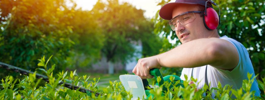 5 Fast Internet Marketing Tips for Landscaping Business Owners